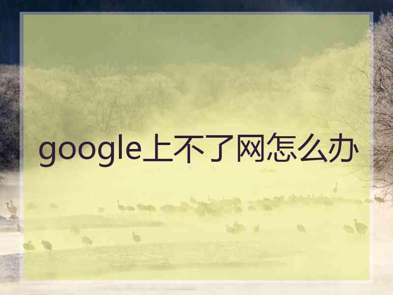 google上不了网怎么办