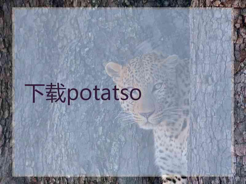 下载potatso