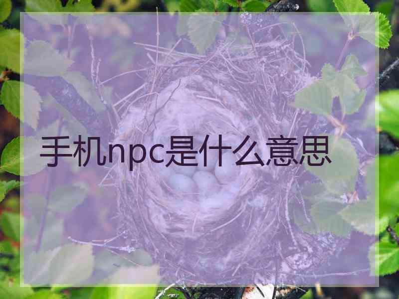 手机npc是什么意思