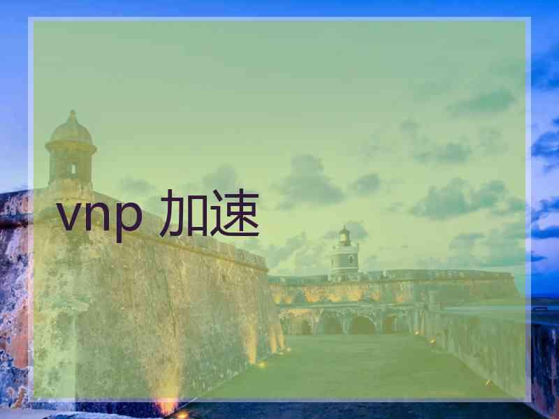 vnp 加速