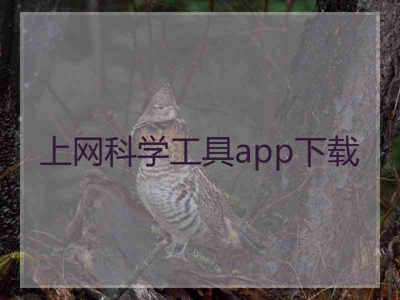 上网科学工具app下载