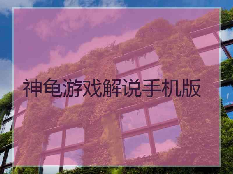 神龟游戏解说手机版