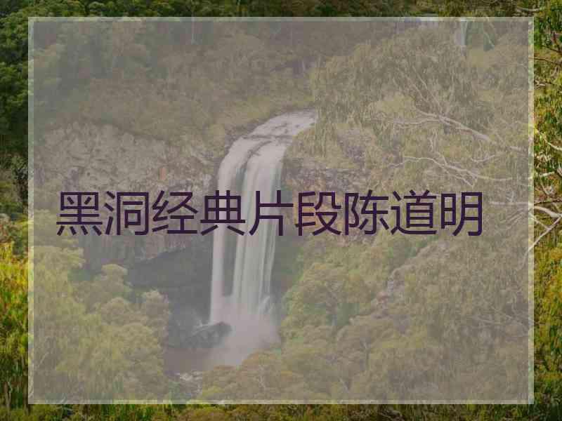 黑洞经典片段陈道明