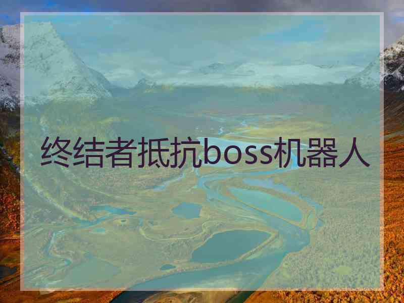 终结者抵抗boss机器人