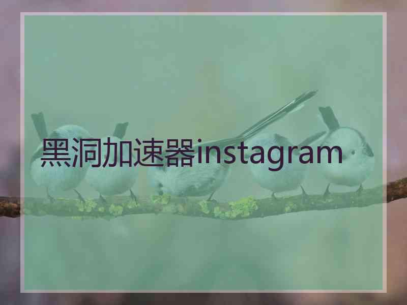 黑洞加速器instagram