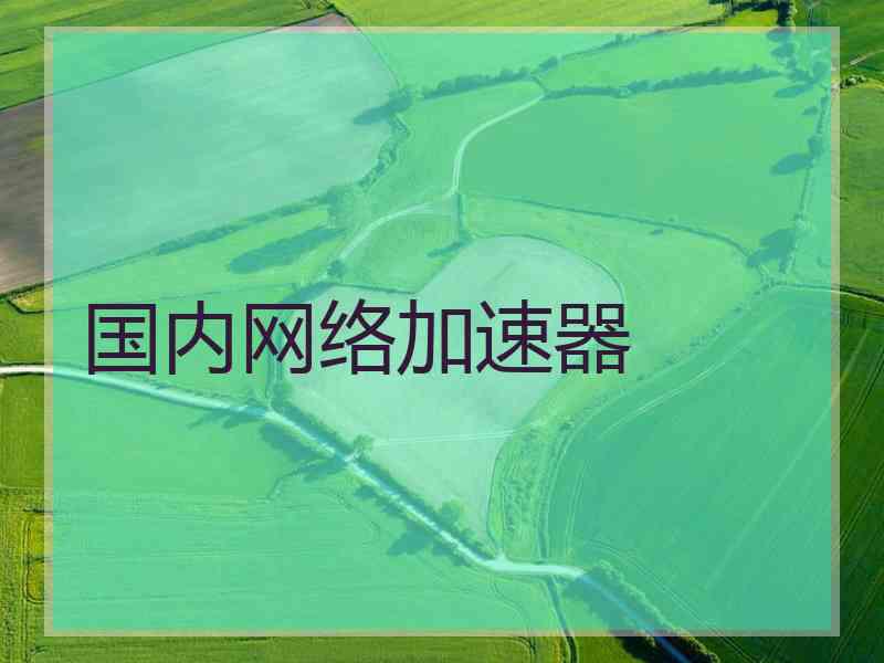 国内网络加速器