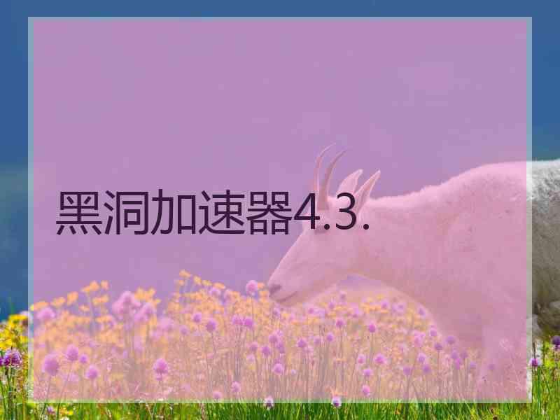 黑洞加速器4.3.