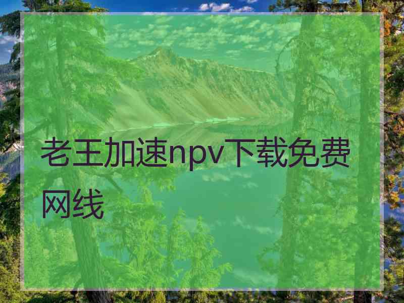 老王加速npv下载免费网线