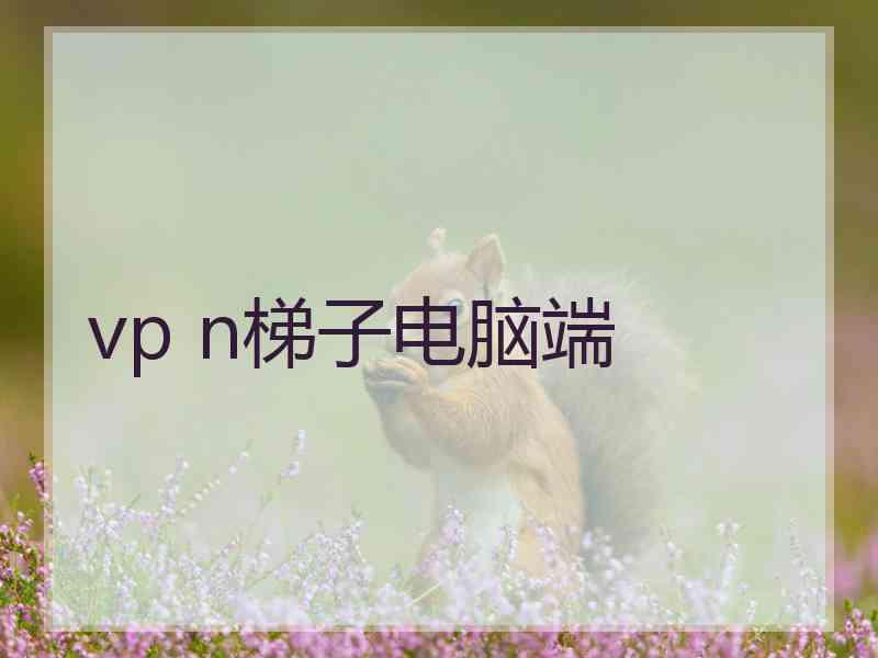 vp n梯子电脑端