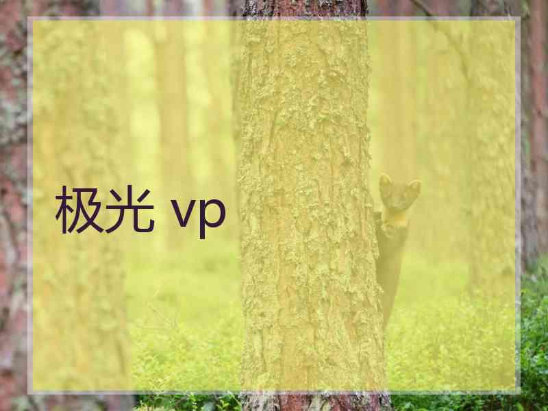 极光 vp