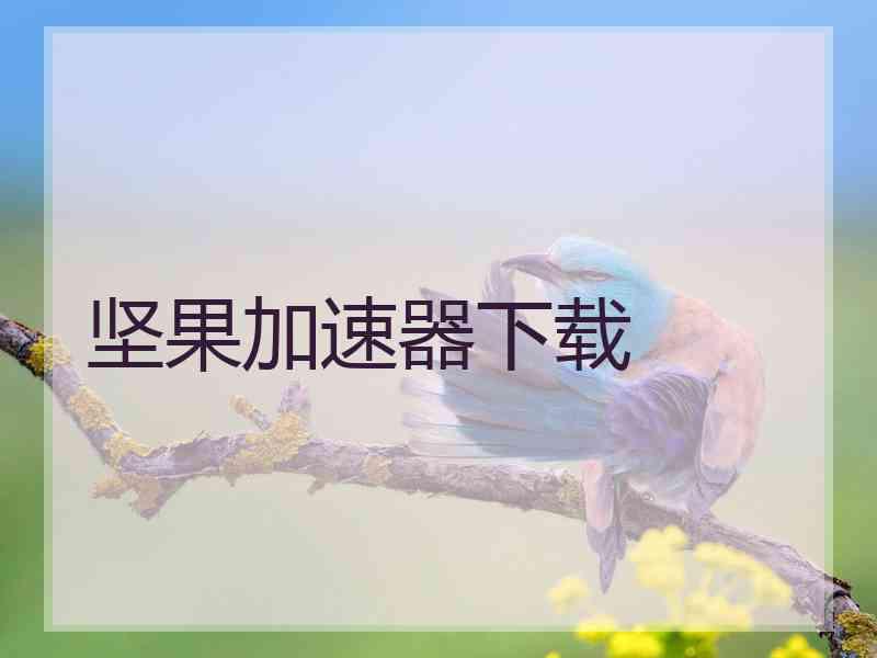 坚果加速器下载