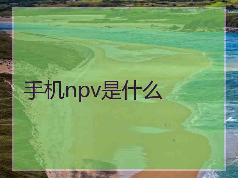 手机npv是什么