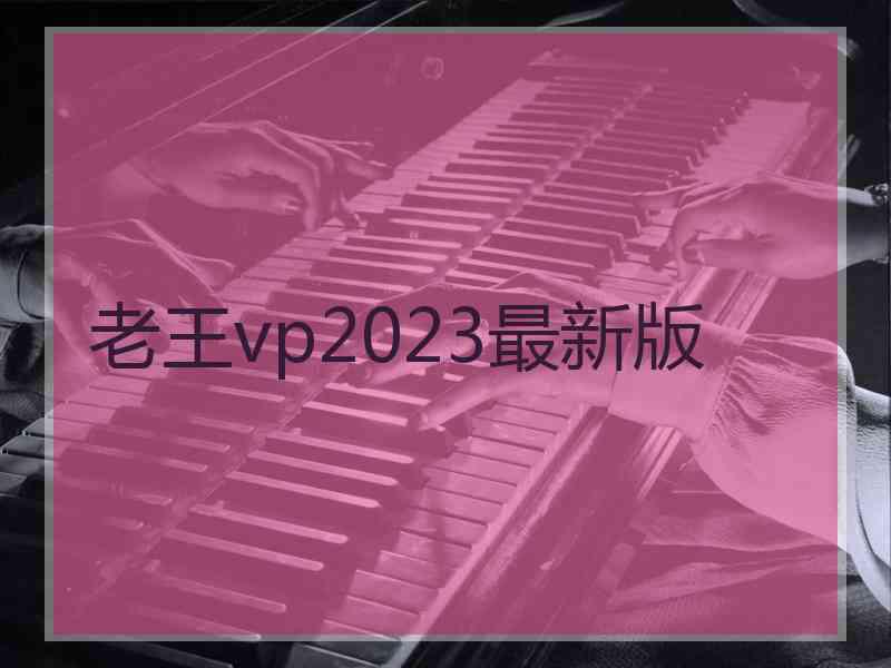 老王vp2023最新版