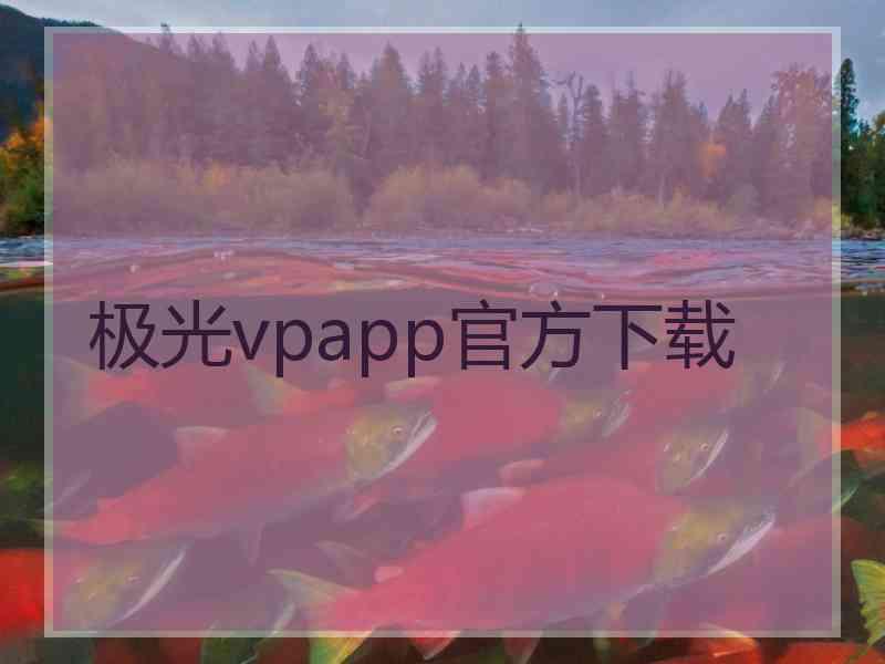 极光vpapp官方下载