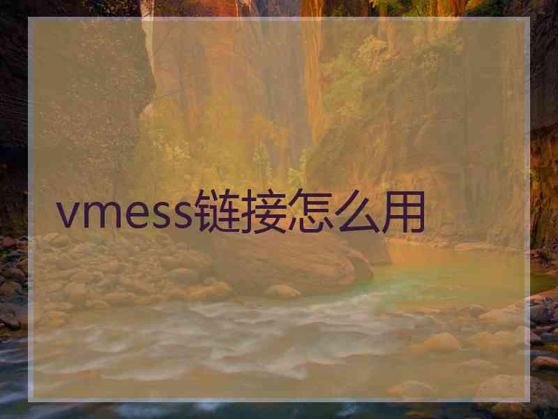 vmess链接怎么用