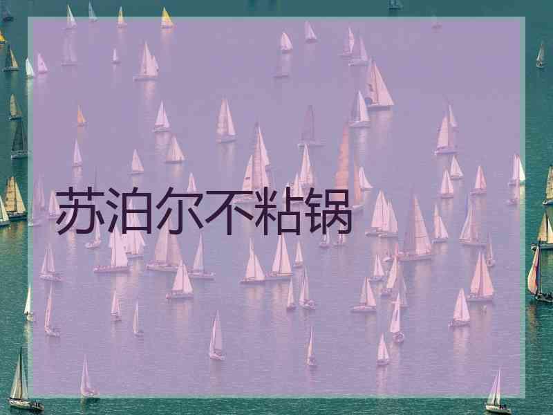 苏泊尔不粘锅