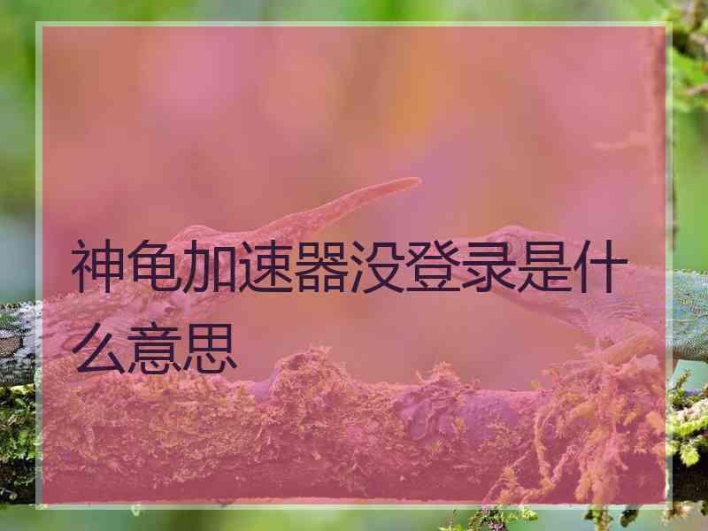 神龟加速器没登录是什么意思