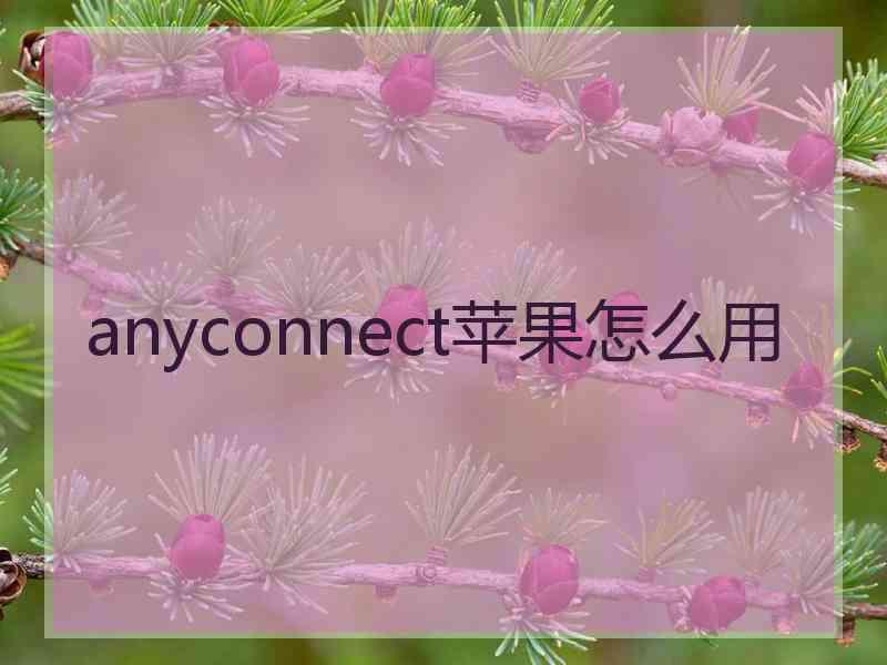 anyconnect苹果怎么用