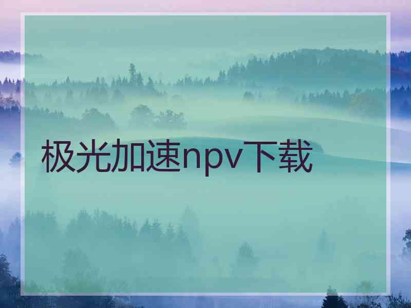 极光加速npv下载