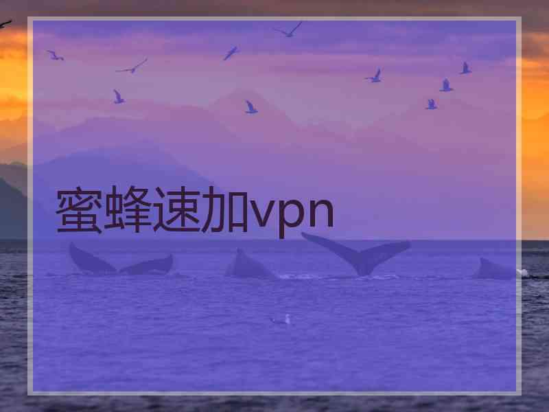 蜜蜂速加vpn