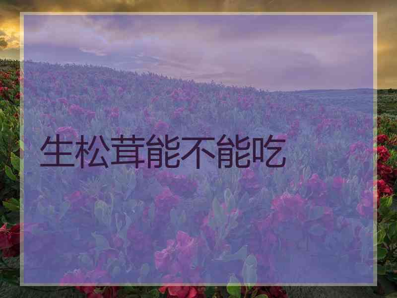 生松茸能不能吃