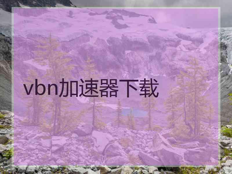 vbn加速器下载