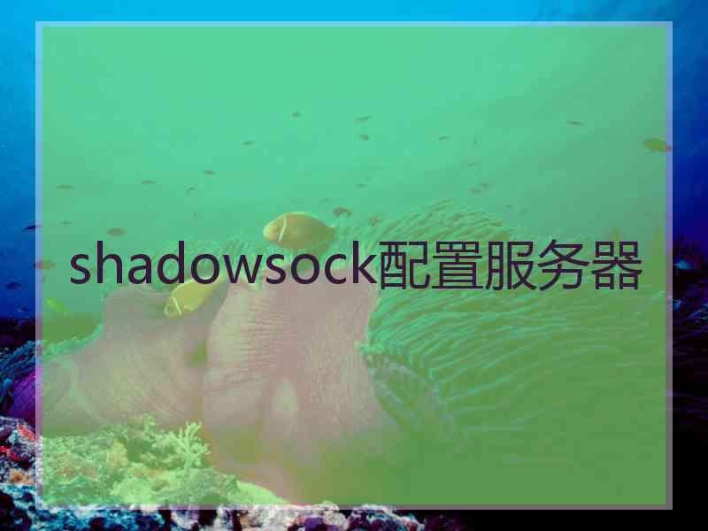 shadowsock配置服务器