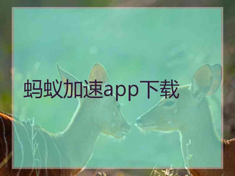 蚂蚁加速app下载