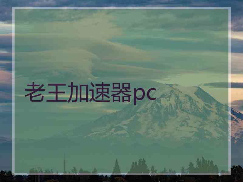 老王加速器pc