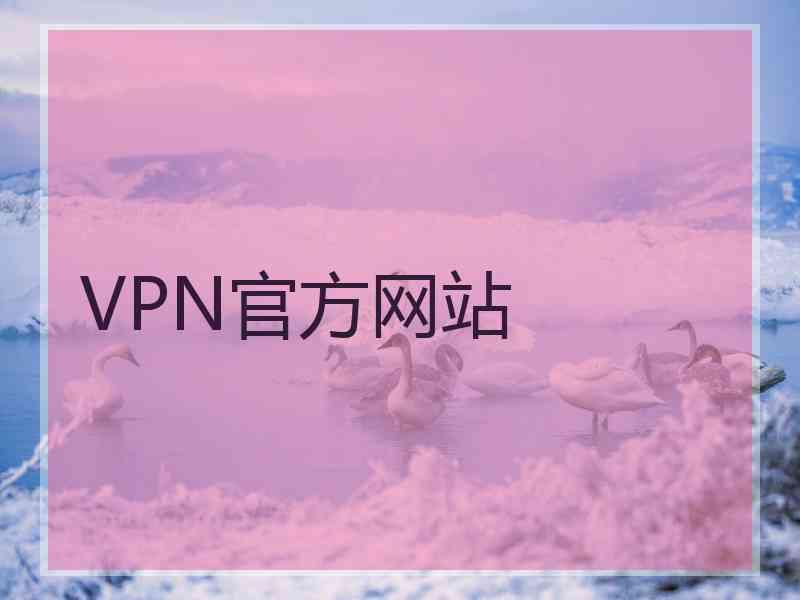 VPN官方网站