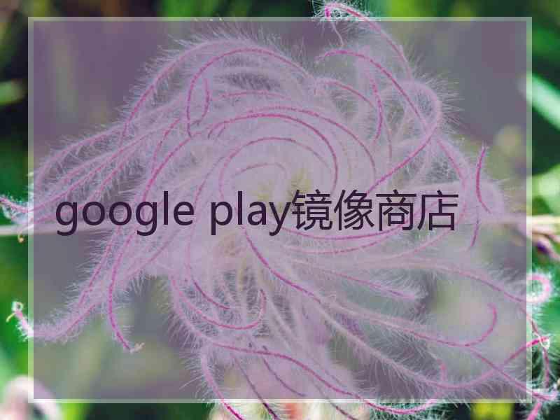 google play镜像商店