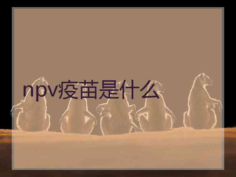 npv疫苗是什么