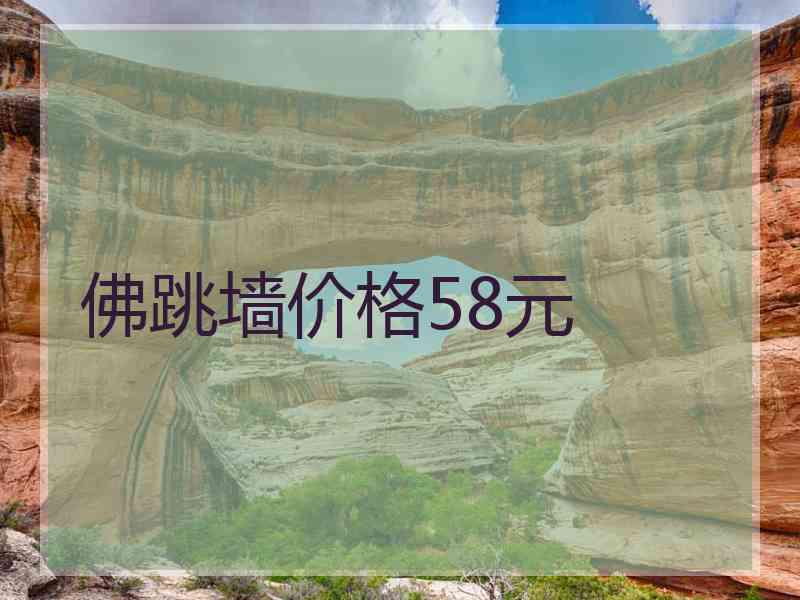 佛跳墙价格58元