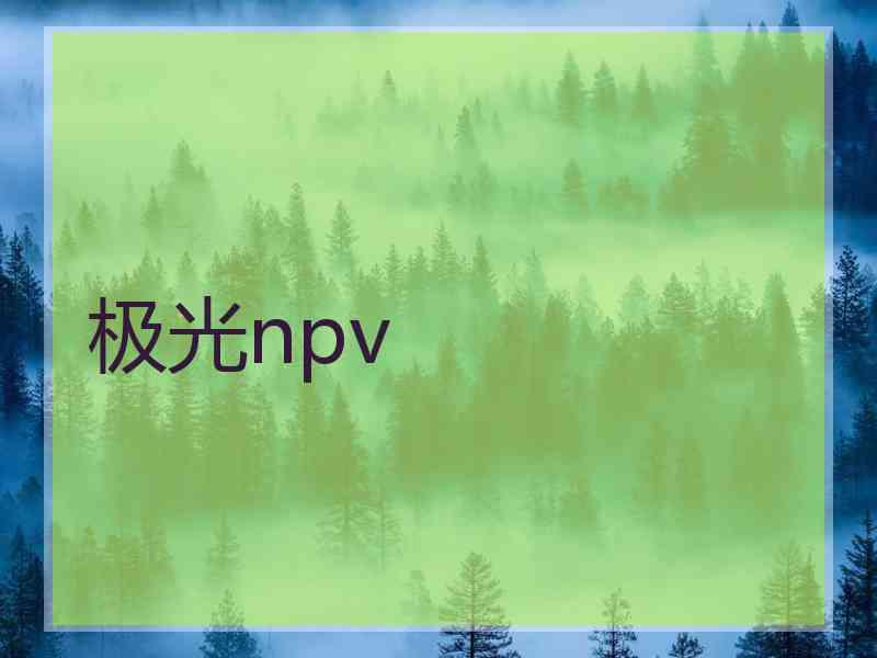 极光npv