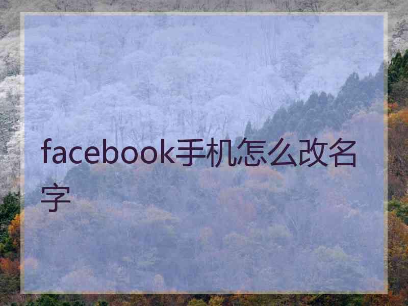 facebook手机怎么改名字