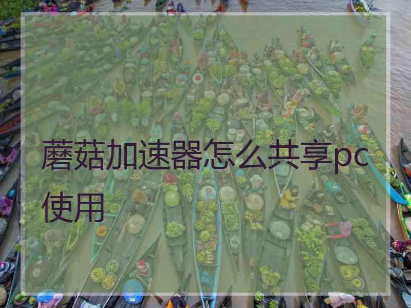 蘑菇加速器怎么共享pc使用