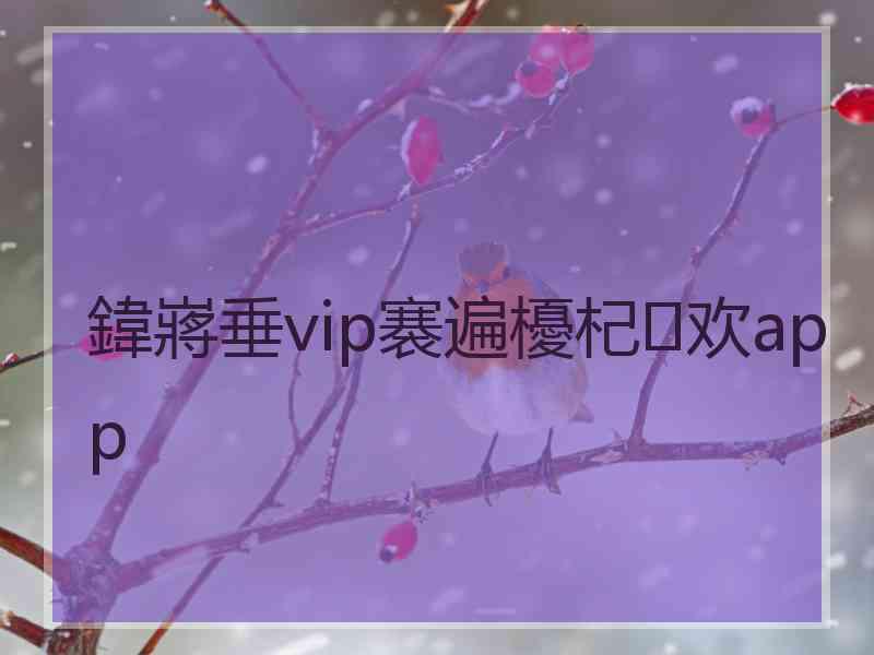 鍏嶈垂vip褰遍櫌杞欢app