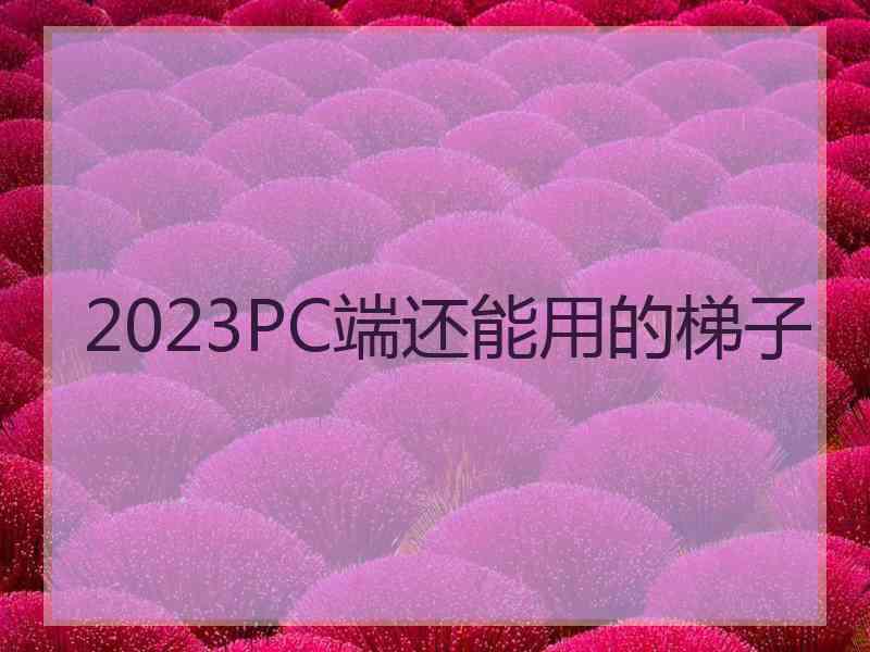 2023PC端还能用的梯子