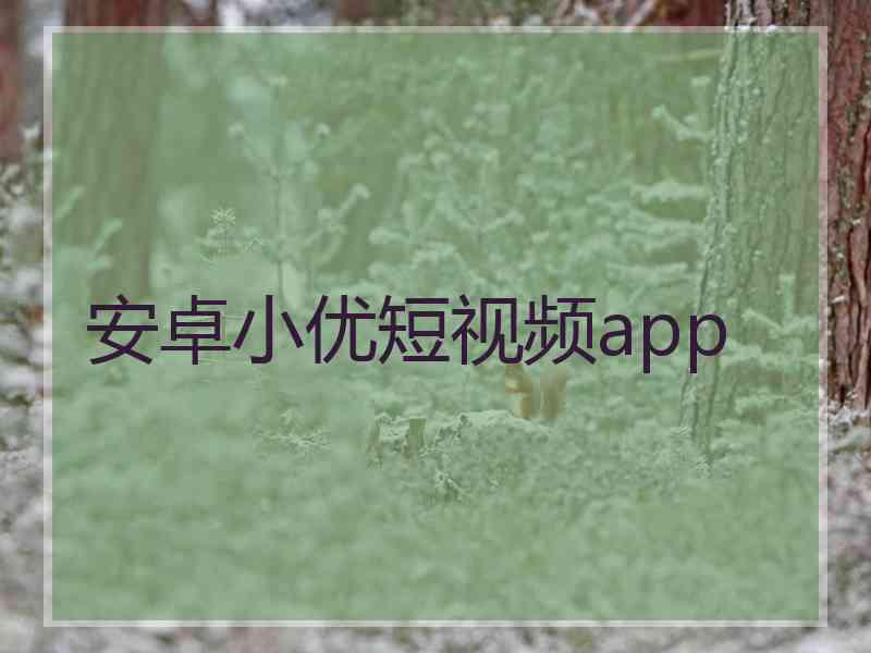 安卓小优短视频app