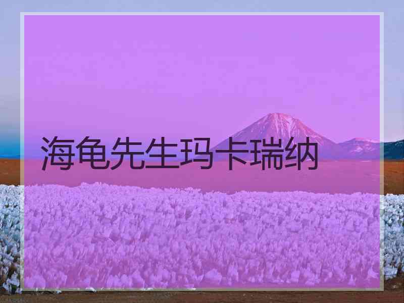 海龟先生玛卡瑞纳