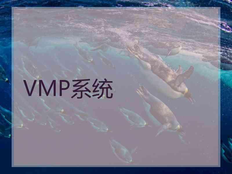 VMP系统