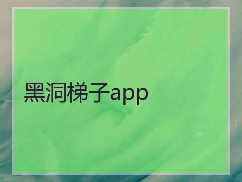 黑洞梯子app