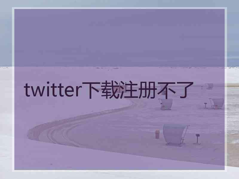 twitter下载注册不了