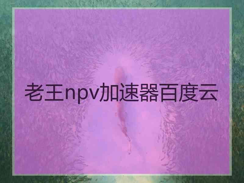 老王npv加速器百度云