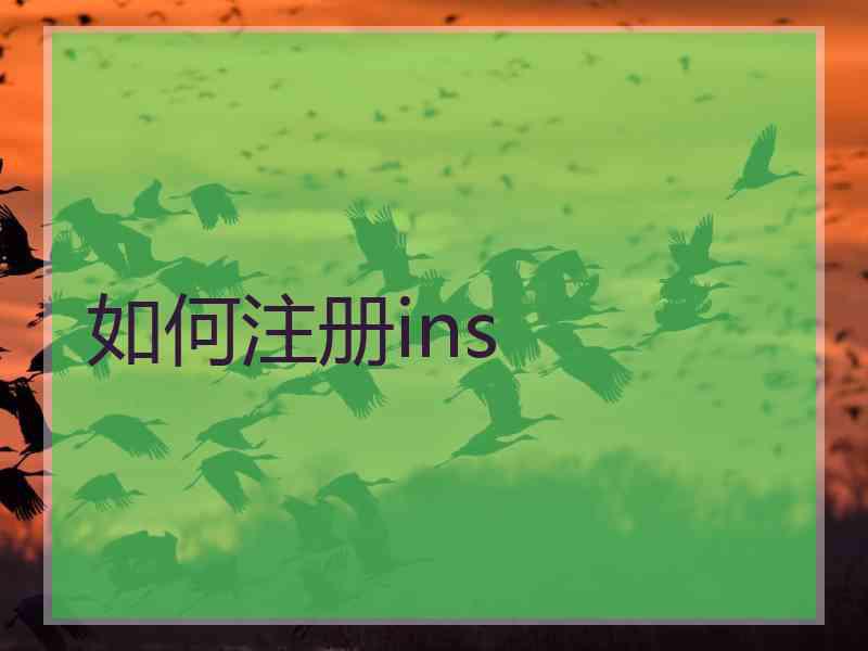 如何注册ins