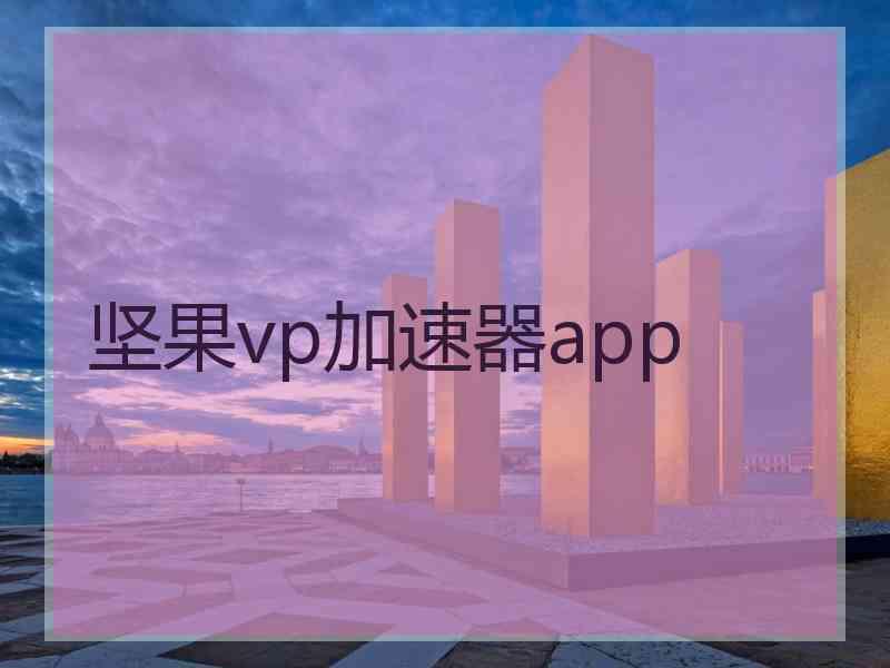 坚果vp加速器app