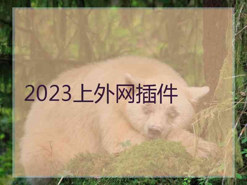 2023上外网插件