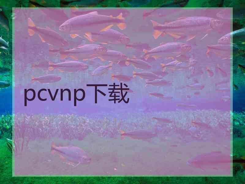 pcvnp下载