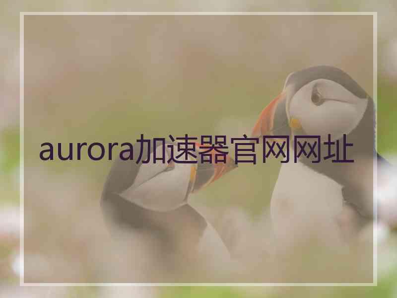 aurora加速器官网网址