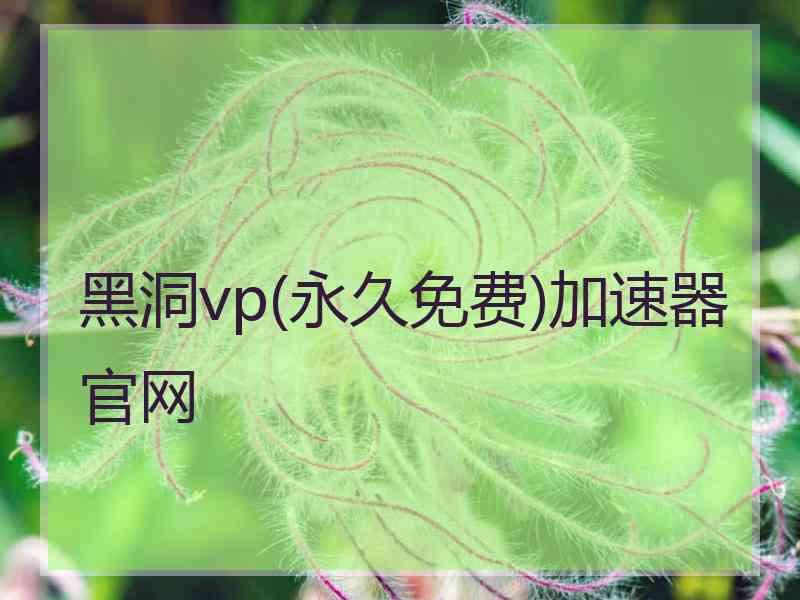 黑洞vp(永久免费)加速器官网